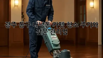 광주 동구 내남동 카펫 청소, 주기와 전문 관리법